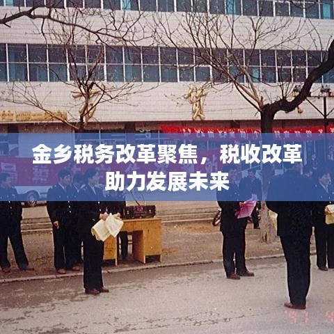 金鄉(xiāng)稅務(wù)改革聚焦，稅收改革助力發(fā)展未來