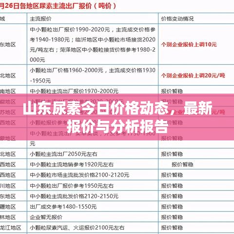 山東尿素今日價(jià)格動態(tài)，最新報(bào)價(jià)與分析報(bào)告