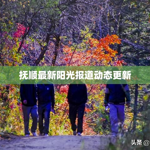 撫順最新陽(yáng)光報(bào)道動(dòng)態(tài)更新