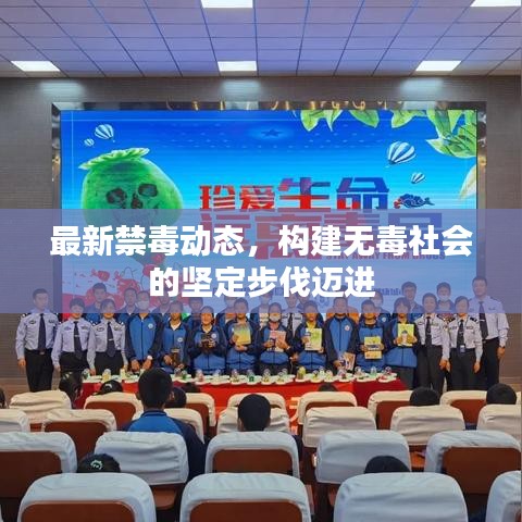 最新禁毒動(dòng)態(tài)，構(gòu)建無(wú)毒社會(huì)的堅(jiān)定步伐邁進(jìn)