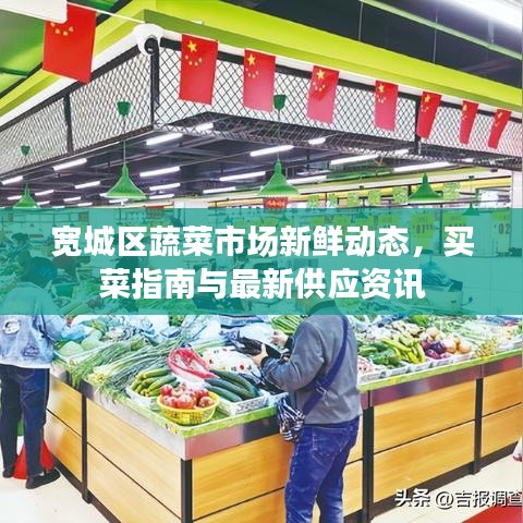 寬城區(qū)蔬菜市場(chǎng)新鮮動(dòng)態(tài)，買菜指南與最新供應(yīng)資訊