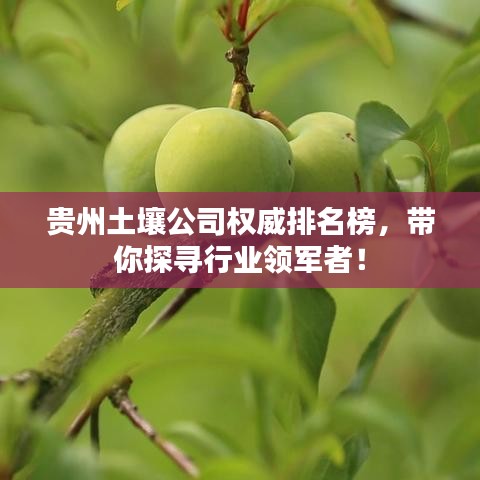 貴州土壤公司權(quán)威排名榜，帶你探尋行業(yè)領(lǐng)軍者！