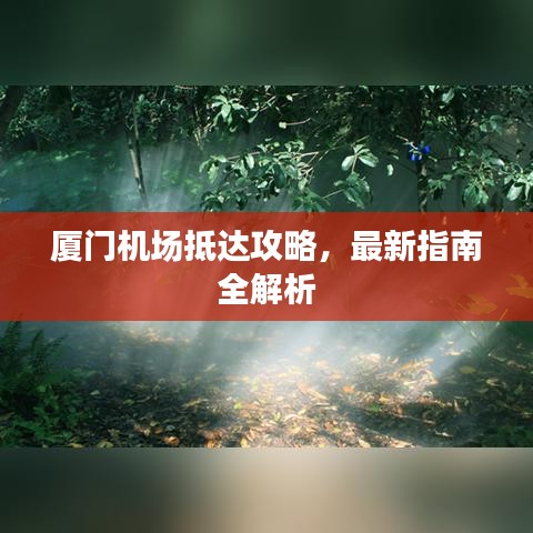 廈門機(jī)場抵達(dá)攻略，最新指南全解析