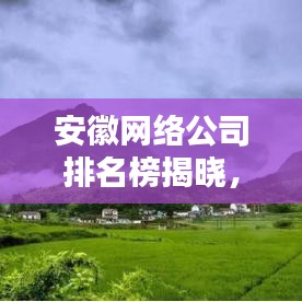 安徽網(wǎng)絡(luò)公司排名榜揭曉，探尋行業(yè)領(lǐng)軍者，你不可不知的名單！