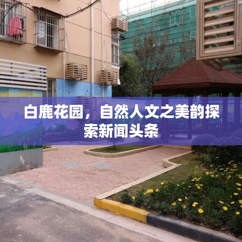 白鹿花園，自然人文之美韻探索新聞?lì)^條