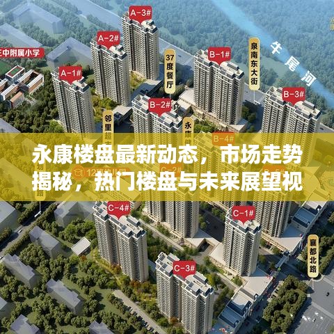 永康樓盤最新動態(tài)，市場走勢揭秘，熱門樓盤與未來展望視頻報道