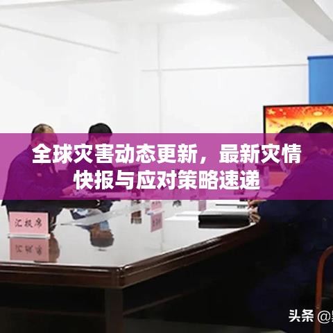 全球災害動態(tài)更新，最新災情快報與應對策略速遞