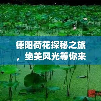 反樸歸真 第2頁