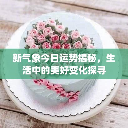 新氣象今日運勢揭秘，生活中的美好變化探尋