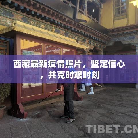 西藏最新疫情照片，堅(jiān)定信心，共克時(shí)艱時(shí)刻