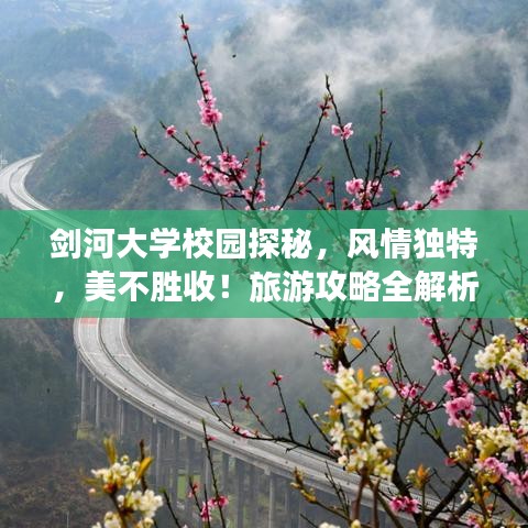 2025年4月 第6頁