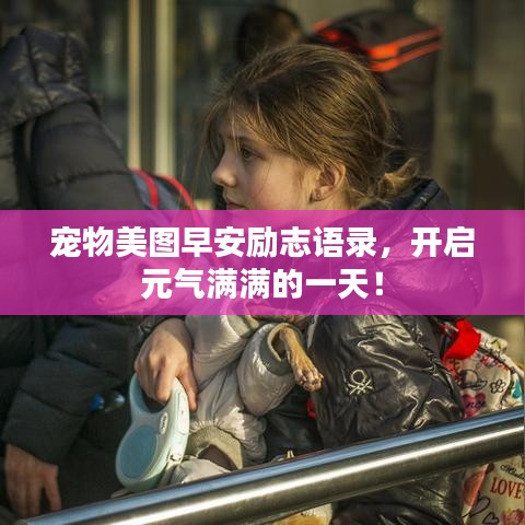 寵物美圖早安勵(lì)志語(yǔ)錄，開啟元?dú)鉂M滿的一天！