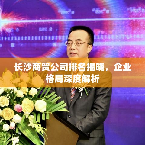 長沙商貿(mào)公司排名揭曉，企業(yè)格局深度解析