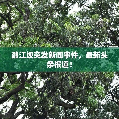 潞江壩突發(fā)新聞事件，最新頭條報(bào)道！