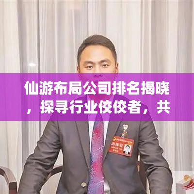 仙游布局公司排名揭曉，探尋行業(yè)佼佼者，共創(chuàng)未來輝煌新篇章