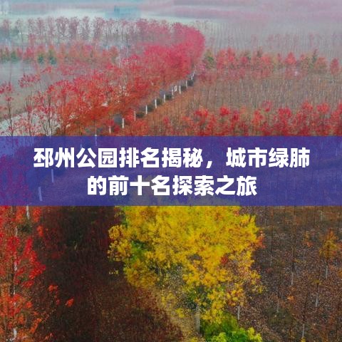邳州公園排名揭秘，城市綠肺的前十名探索之旅