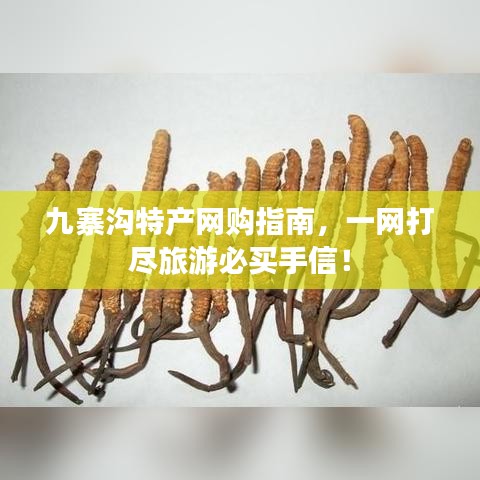 九寨溝特產(chǎn)網(wǎng)購(gòu)指南，一網(wǎng)打盡旅游必買手信！