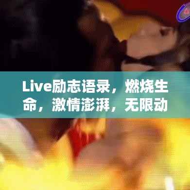 2025年5月2日 第11頁