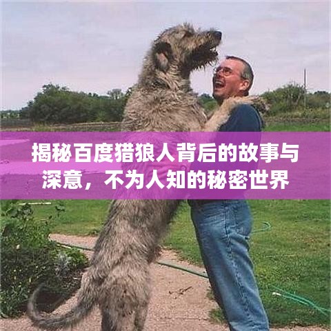 揭秘百度獵狼人背后的故事與深意，不為人知的秘密世界