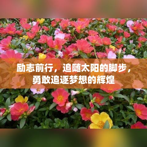 勵志前行，追隨太陽的腳步，勇敢追逐夢想的輝煌
