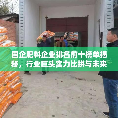 國(guó)企肥料企業(yè)排名前十榜單揭秘，行業(yè)巨頭實(shí)力比拼與未來(lái)趨勢(shì)展望