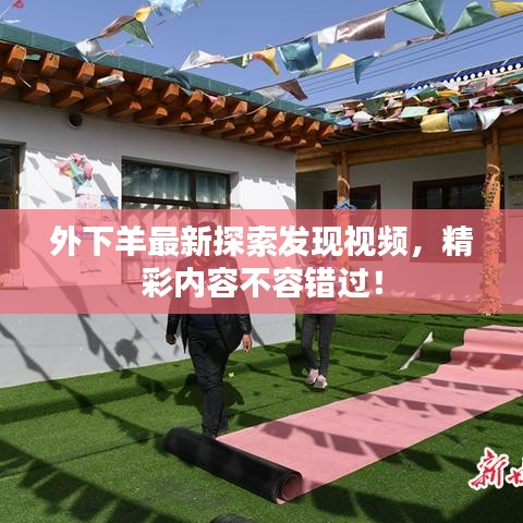 外下羊最新探索發(fā)現(xiàn)視頻，精彩內(nèi)容不容錯過！