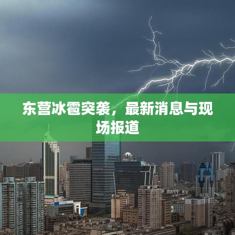 笨鳥先飛 第2頁