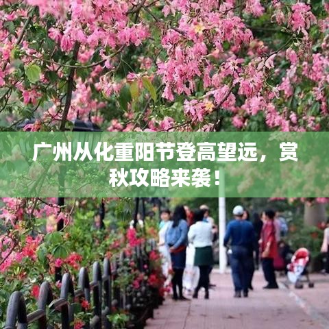 廣州從化重陽(yáng)節(jié)登高望遠(yuǎn)，賞秋攻略來(lái)襲！