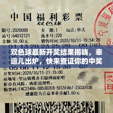 雙色球最新開獎(jiǎng)結(jié)果揭曉，幸運(yùn)兒出爐，快來查證你的中獎(jiǎng)喜訊！