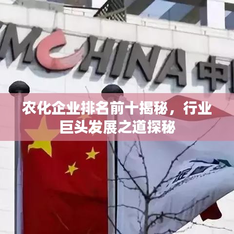 農(nóng)化企業(yè)排名前十揭秘，行業(yè)巨頭發(fā)展之道探秘