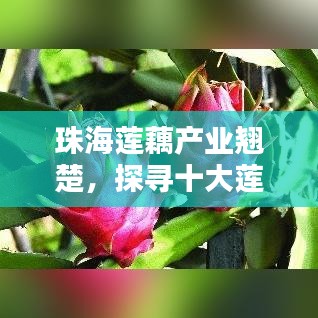 2025年5月5日 第12頁