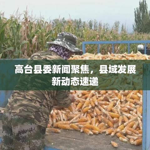 高臺(tái)縣委新聞聚焦，縣域發(fā)展新動(dòng)態(tài)速遞