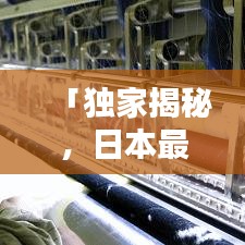 「獨(dú)家揭秘，日本最搞笑企業(yè)排行榜，令人捧腹大笑的公司風(fēng)采大放送」