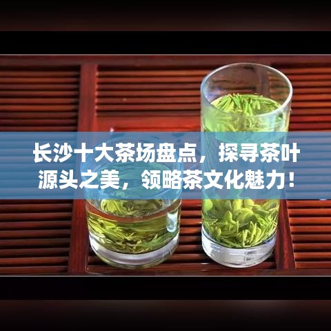 長(zhǎng)沙十大茶場(chǎng)盤點(diǎn)，探尋茶葉源頭之美，領(lǐng)略茶文化魅力！