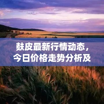 麩皮最新行情動態(tài)，今日價格走勢分析及市場趨勢預(yù)測