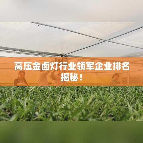 將錯就錯 第2頁