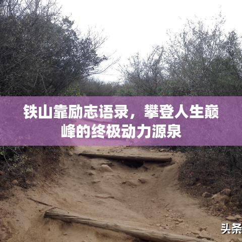 鐵山靠勵(lì)志語(yǔ)錄，攀登人生巔峰的終極動(dòng)力源泉