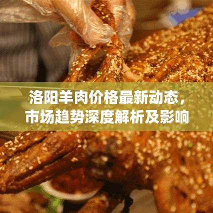 洛陽羊肉價格最新動態(tài)，市場趨勢深度解析及影響因素全解析