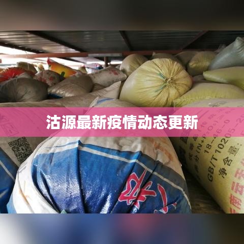 沽源最新疫情動(dòng)態(tài)更新