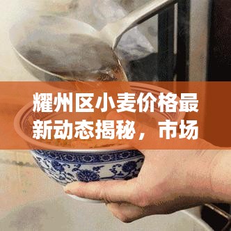 耀州區(qū)小麥價格最新動態(tài)揭秘，市場走勢分析與預(yù)測