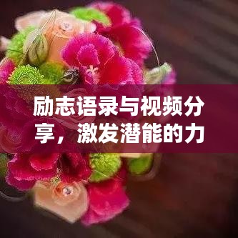 勵志語錄與視頻分享，激發(fā)潛能的力量源泉集錦