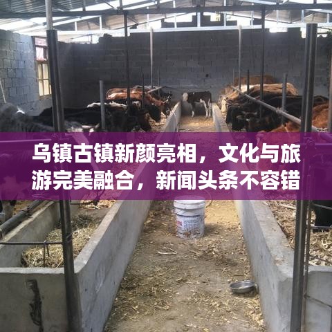 烏鎮(zhèn)古鎮(zhèn)新顏亮相，文化與旅游完美融合，新聞頭條不容錯過