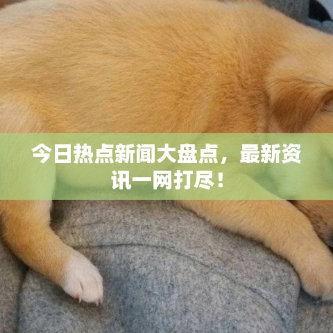 今日熱點新聞大盤點，最新資訊一網(wǎng)打盡！
