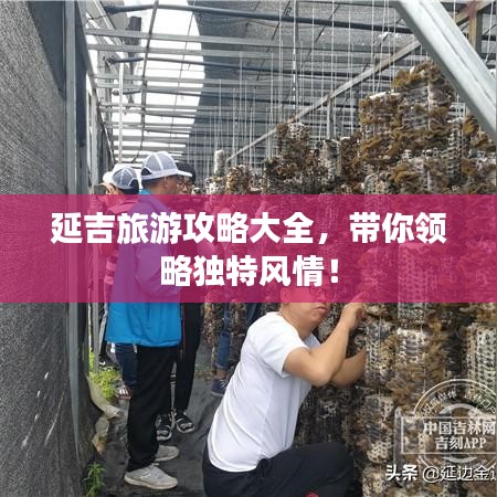 延吉旅游攻略大全，帶你領(lǐng)略獨(dú)特風(fēng)情！