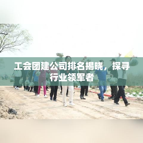 工會(huì)團(tuán)建公司排名揭曉，探尋行業(yè)領(lǐng)軍者