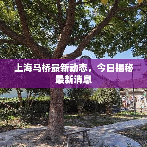 2025年5月8日 第34頁(yè)