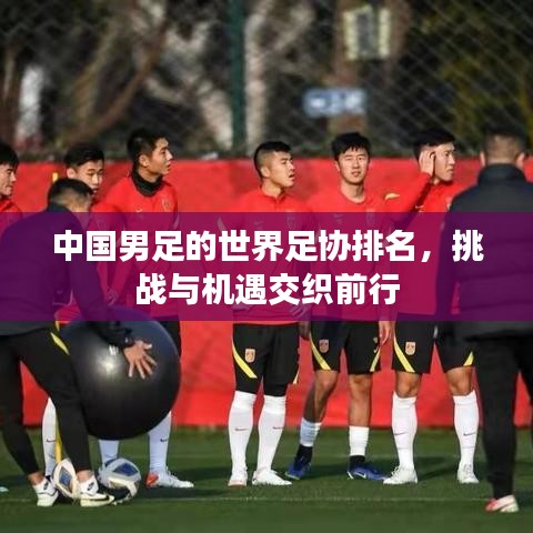 中國(guó)男足的世界足協(xié)排名，挑戰(zhàn)與機(jī)遇交織前行