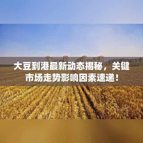 大豆到港最新動態(tài)揭秘，關鍵市場走勢影響因素速遞！