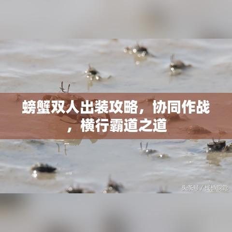 螃蟹雙人出裝攻略，協(xié)同作戰(zhàn)，橫行霸道之道