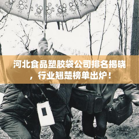 河北食品塑膠袋公司排名揭曉，行業(yè)翹楚榜單出爐！